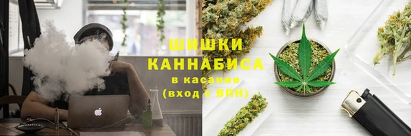 винт Гусев
