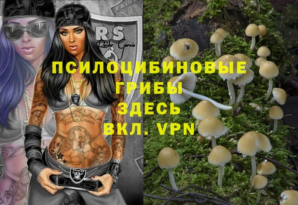 винт Гусев